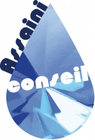 Logo AssainiConseil.png