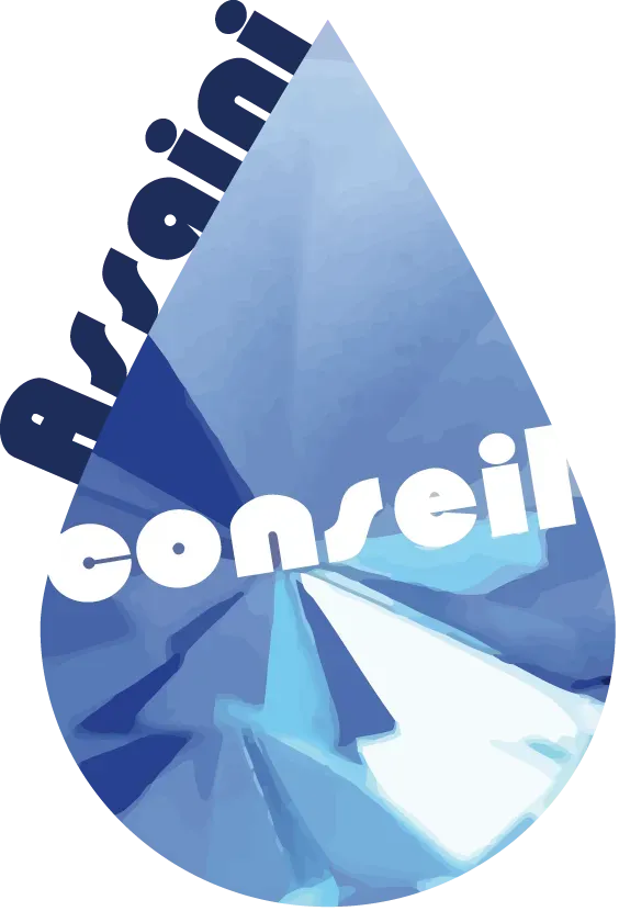 Assaini conseil logo